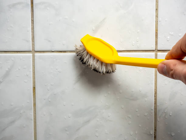 Best Home Mold Removal  in Bastrop, TX