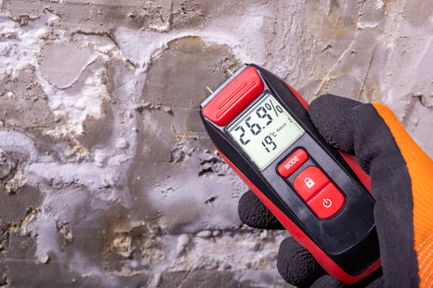 Best Best Mold Removal Companies  in Bastrop, TX