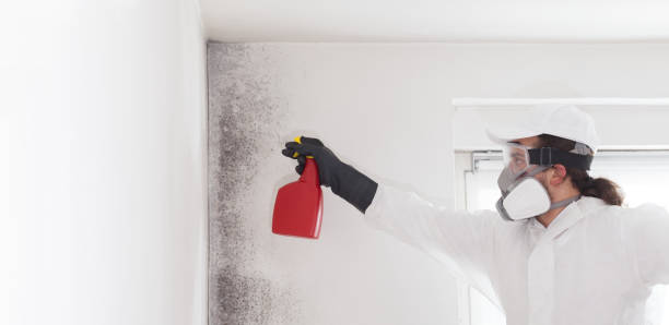  Bastrop, TX Mold Removal Pros